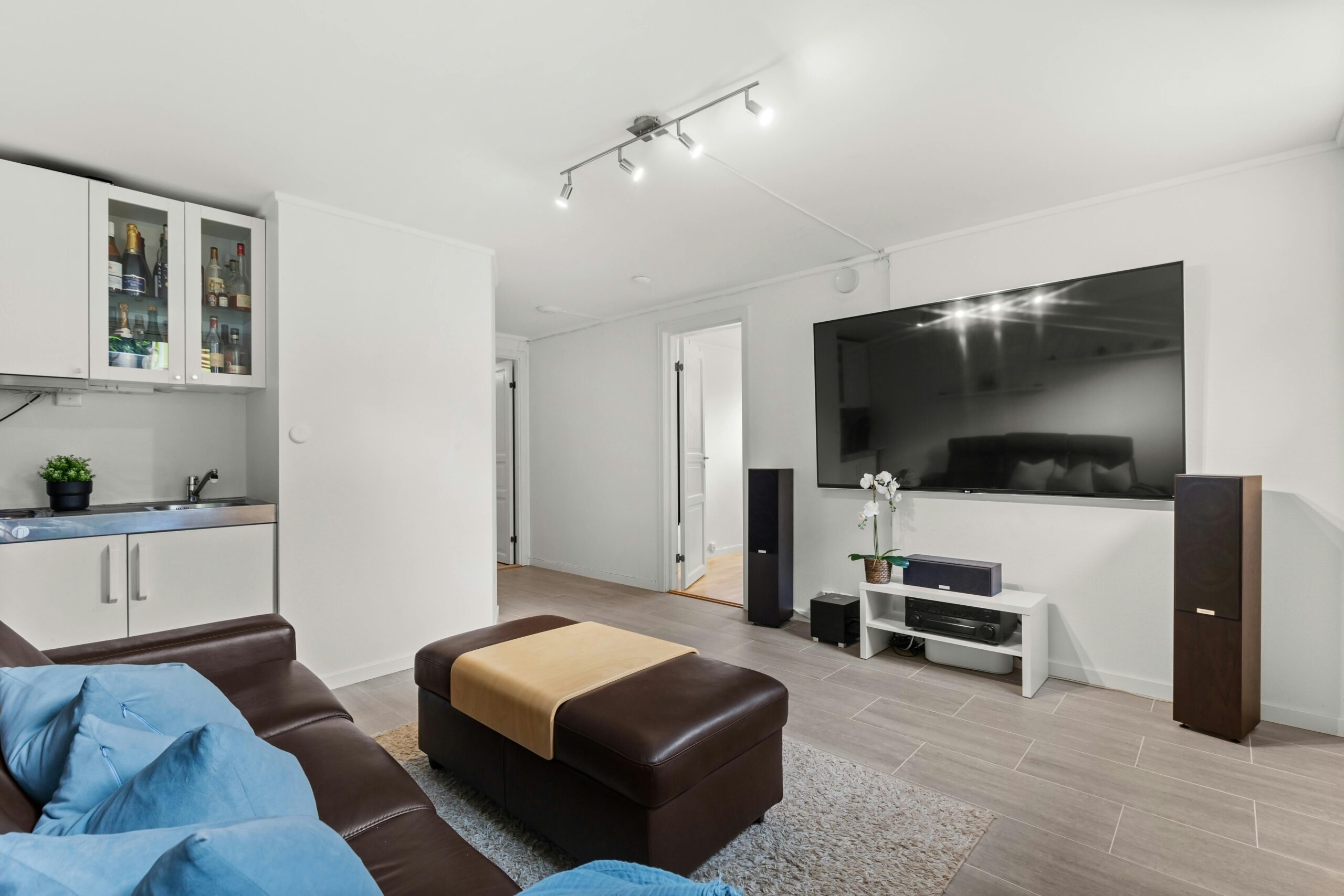 TV mounting in McIntosh FL living room installation