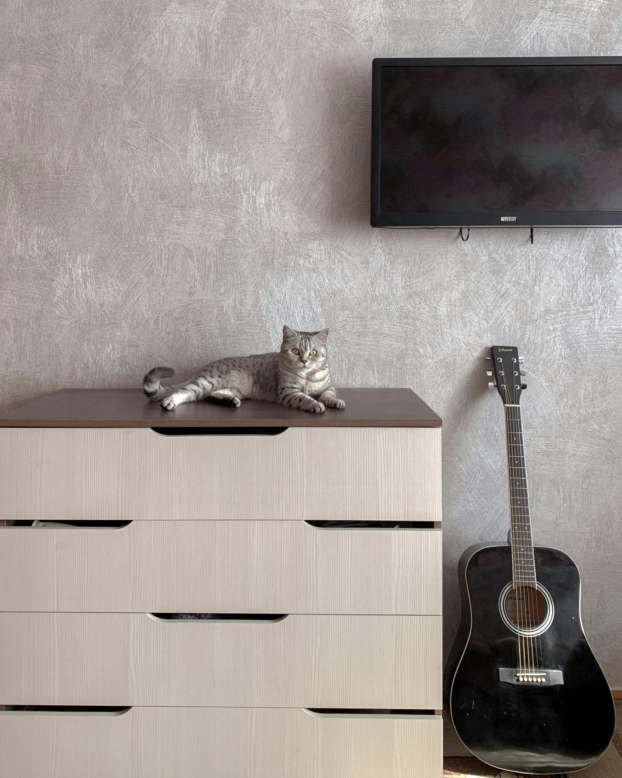 TV mounting in Anthony FL living room installation